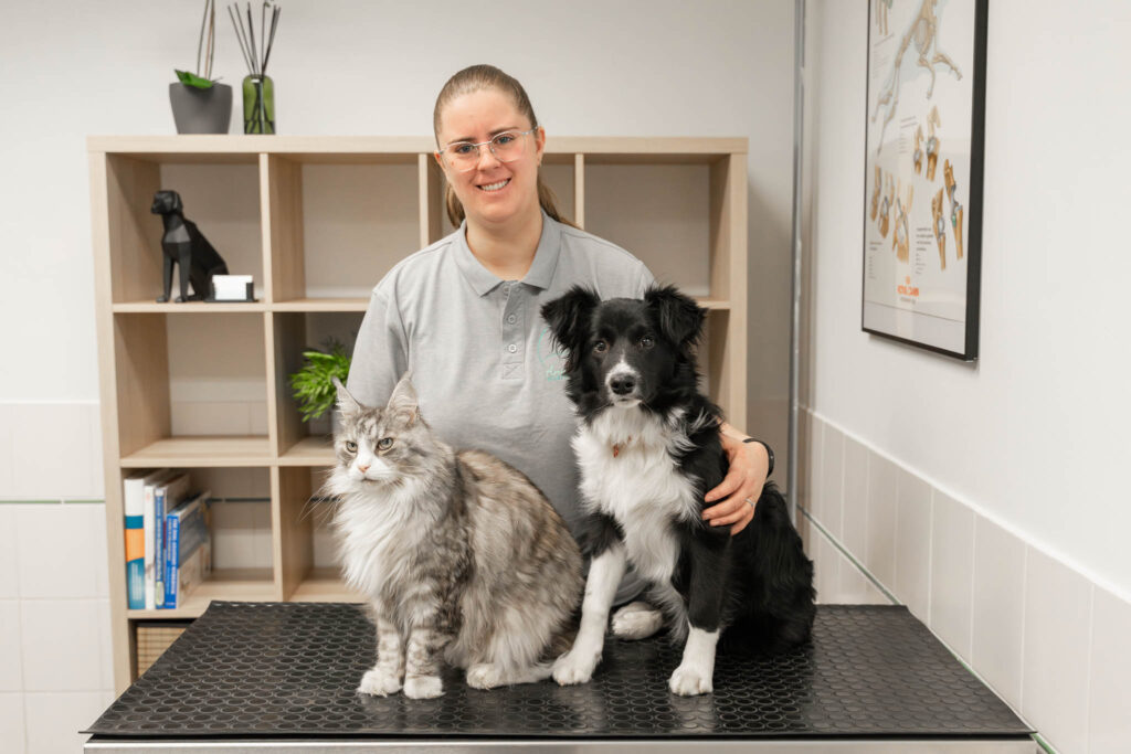 Dierfysiotherapeut hond en kat