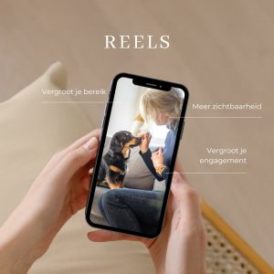 Reels videoshoot honden professional