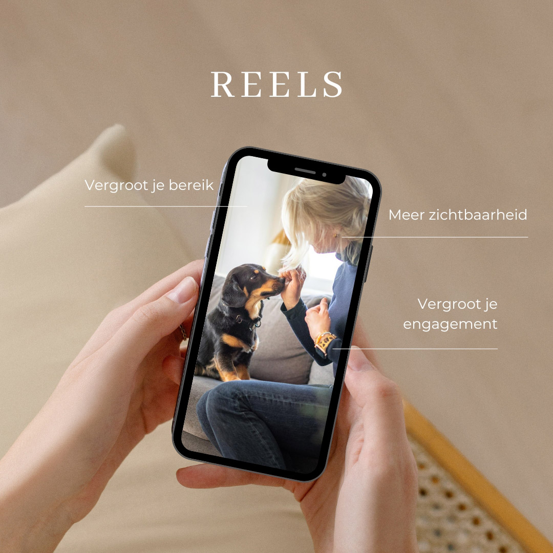 Reels videoshoot honden professional